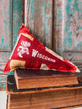 Upcycled 1960s Vintage University of Wisconsin Pennant on Mini Quilt Pillow