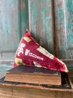 Upcycled 1960s Vintage University of Wisconsin Pennant on Mini Quilt Pillow