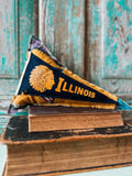 Upcycled 1960s Vintage University of Illinois on Mini Quilt Pillow