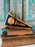 Upcycled 1960s Vintage University of Illinois on Mini Quilt Pillow